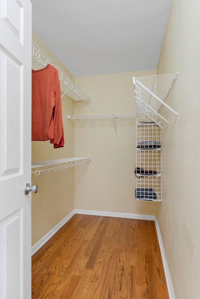 1244 Baker Creek Dr, Spring Hill, TN 37174 - walk in closet with wood finished floors