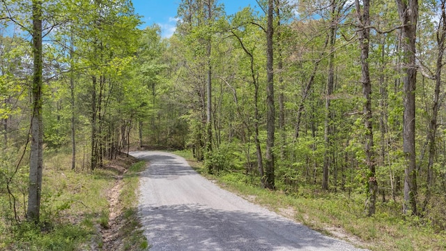 0 Wilder Hwy, Crawford, TN 38554 - photo 7