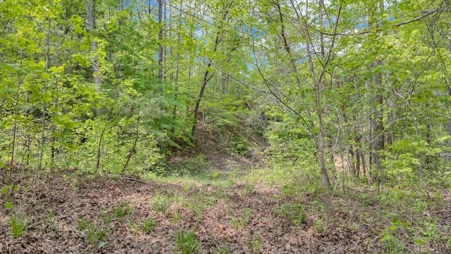 0 Wilder Hwy, Crawford, TN 38554 - photo 3
