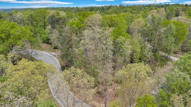 0 Wilder Hwy, Crawford, TN 38554 - photo 1