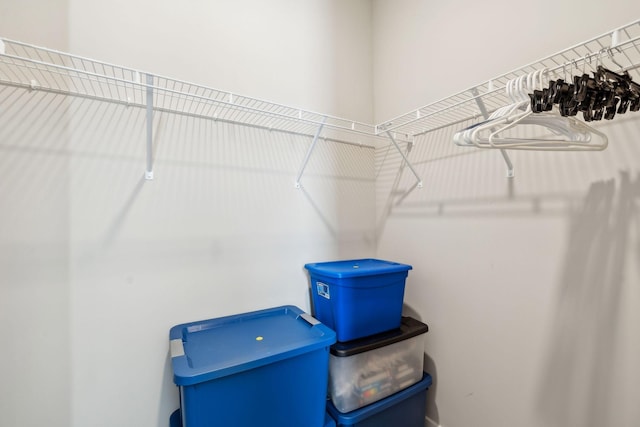 view of spacious closet