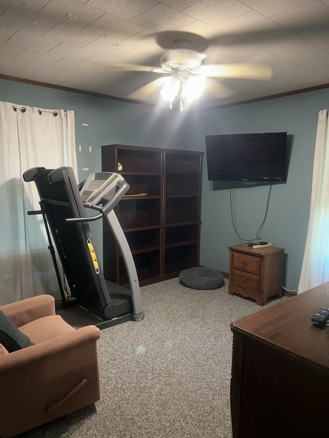 exercise room with carpet floors, ornamental molding, and ceiling fan