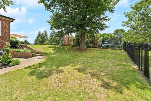 1353 Stewart Creek Rd, Murfreesboro, TN 37129 - view of yard with a trampoline and stairs