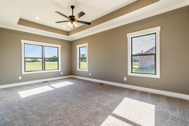 5367 Roy Holman Rd, Springfield, TN 37172 - spare room featuring a raised ceiling, ornamental molding, baseboards, carpet floors, and recessed lighting