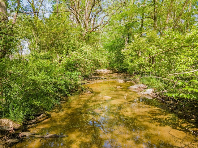 view of local wilderness