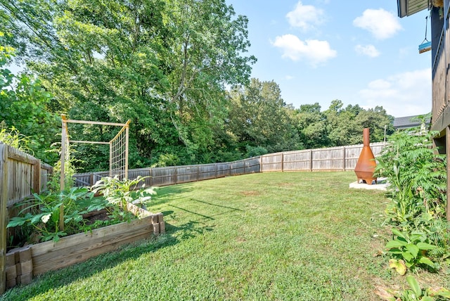 1804 Rains Rd, Clarksville, TN 37042 - view of yard with a fenced backyard and a vegetable garden
