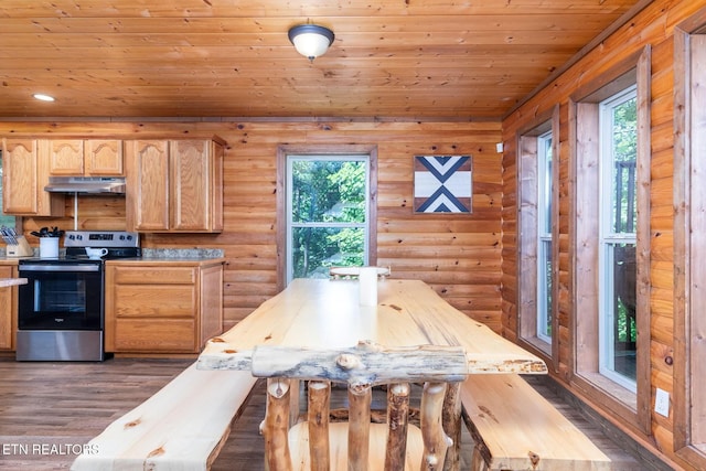 531 Gatlin Dr, Gatlinburg, TN 37738 - dining room featuring dark wood-style flooring, healthy amount of natural light, rustic walls, and wood ceiling