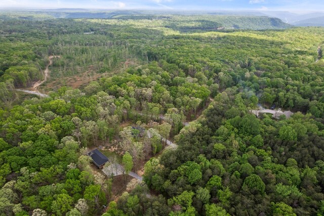 drone / aerial view with a view of trees and a mountain view