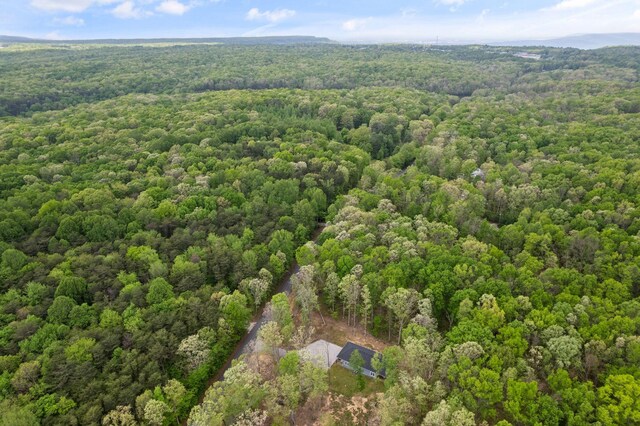 bird's eye view with a forest view