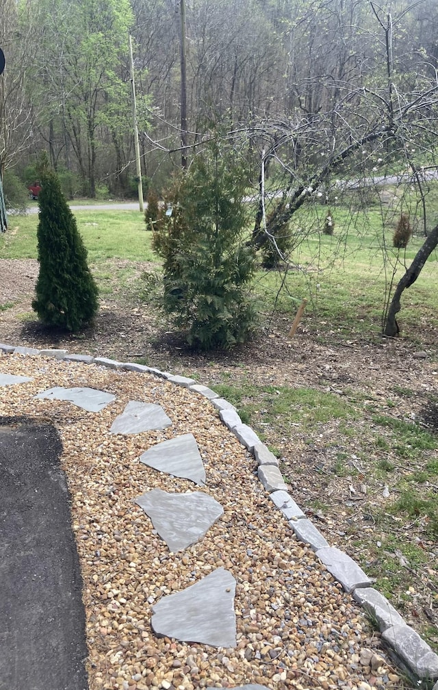 view of yard with a wooded view