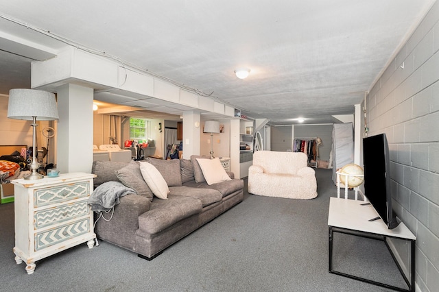 7205 Birchbark Dr, Fairview, TN 37062 - living area with concrete block wall and carpet floors