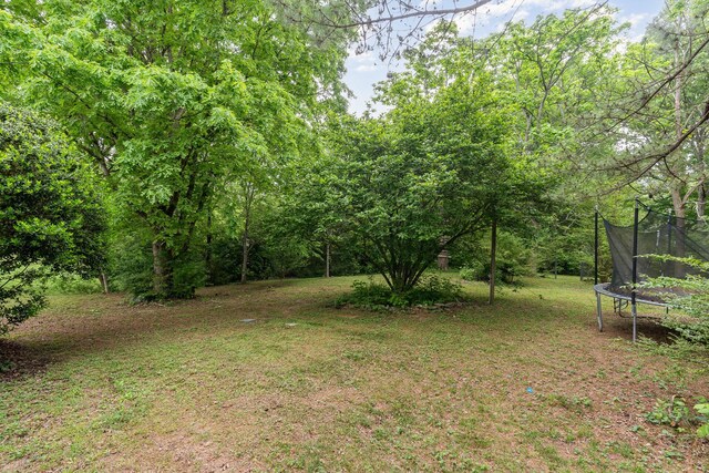 7205 Birchbark Dr, Fairview, TN 37062 - view of grassy yard featuring a trampoline