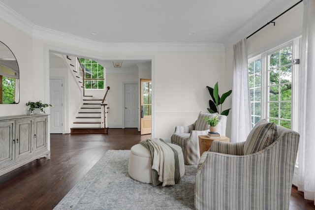 living area featuring dark wood-type flooring, ornamental molding, and stairway
