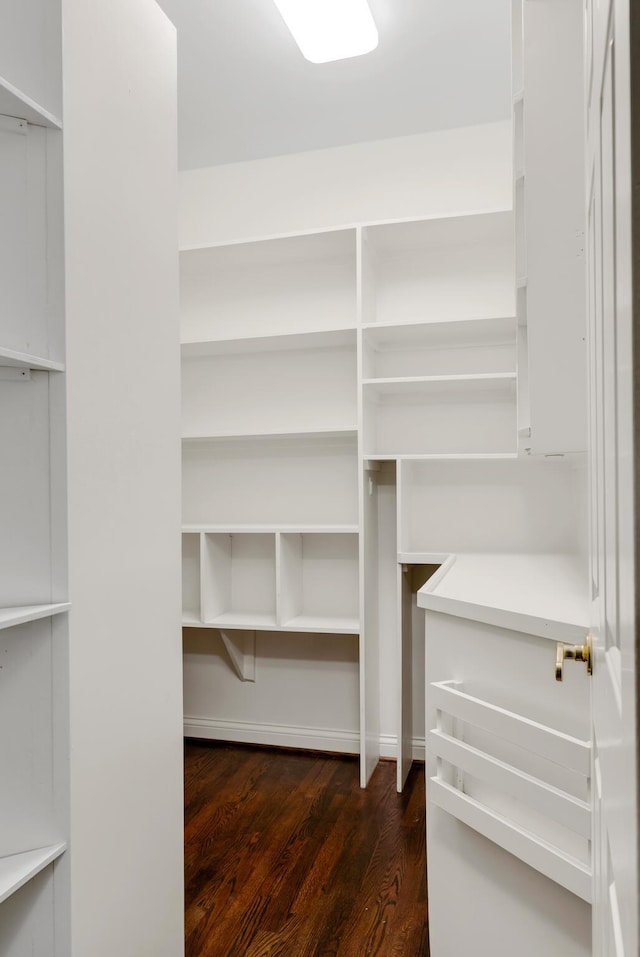 walk in closet featuring dark wood finished floors