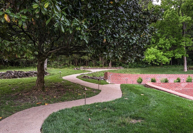 surrounding community with a yard