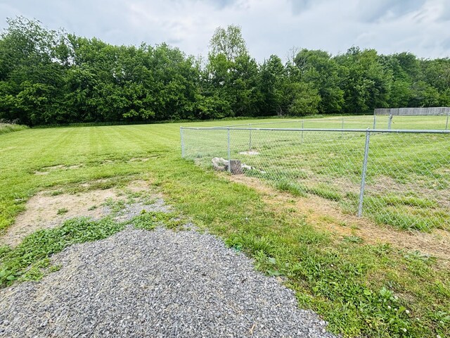 19 Winding Hills Ln, Gordonsville, TN 38563 - view of yard with a view of rural / pastoral area