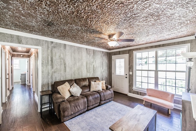 907 N Graycroft Ave, Madison, TN 37115 - living room featuring a ceiling fan, ornamental molding, and hardwood / wood-style flooring