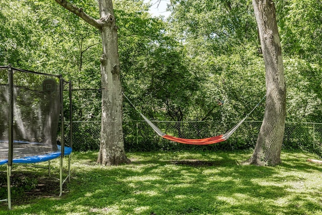 907 N Graycroft Ave, Madison, TN 37115 - view of yard with a trampoline