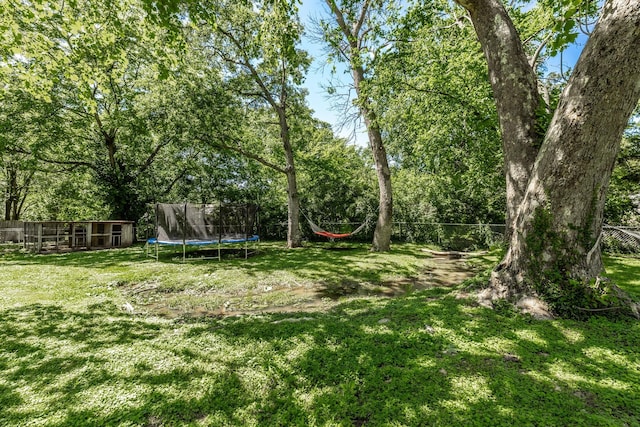 907 N Graycroft Ave, Madison, TN 37115 - view of yard featuring a trampoline and an outbuilding