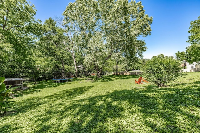 907 N Graycroft Ave, Madison, TN 37115 - view of yard with a trampoline