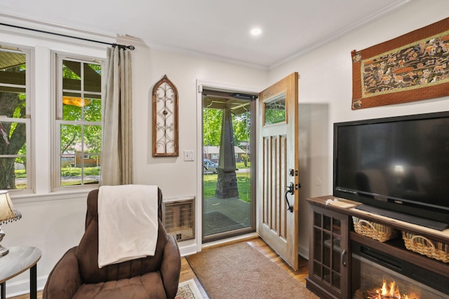 206 Evergreen Dr, Columbia, TN 38401 - doorway with crown molding, recessed lighting, wood finished floors, and a wealth of natural light