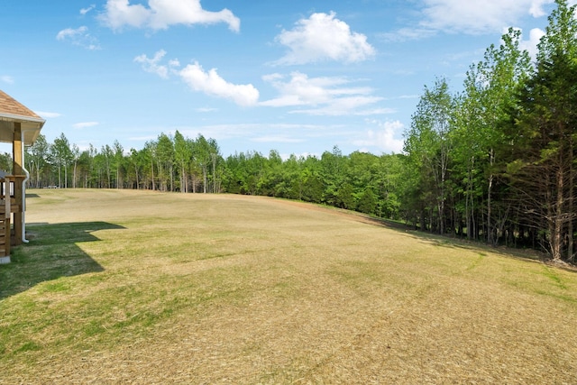 1065 Gholson Rd, Clarksville, TN 37043 - view of yard with a forest view