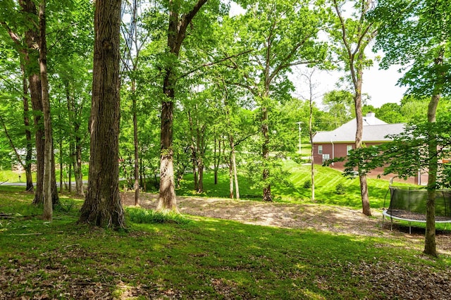 1505 Newmans Trl, Hendersonville, TN 37075 - view of yard featuring a trampoline