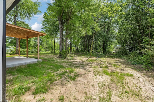 828 S Mountain St, Smithville, TN 37166 - photo 45
