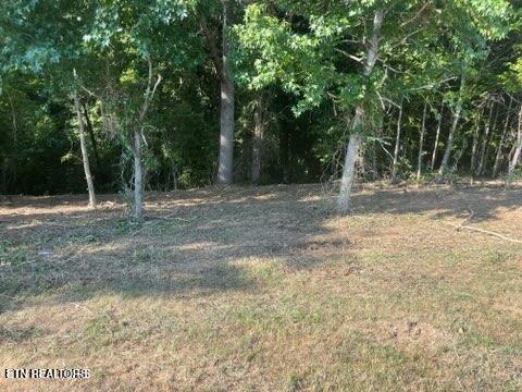 204206208 Majestic View Dr, Rockwood, TN 37854 - photo 2
