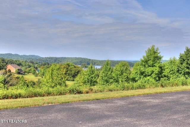 204206208 Majestic View Dr, Rockwood, TN 37854 - photo 4