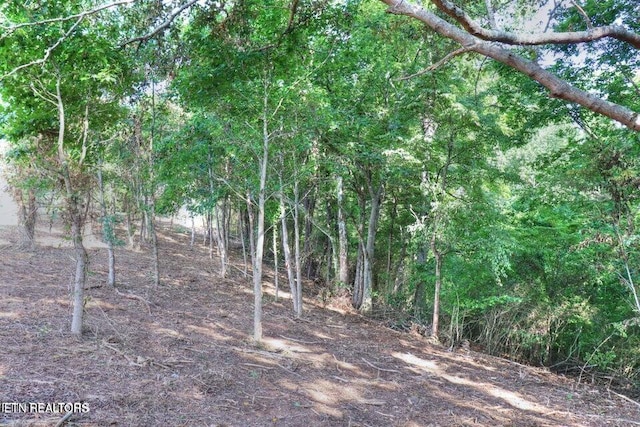 204206208 Majestic View Dr, Rockwood, TN 37854 - photo 3
