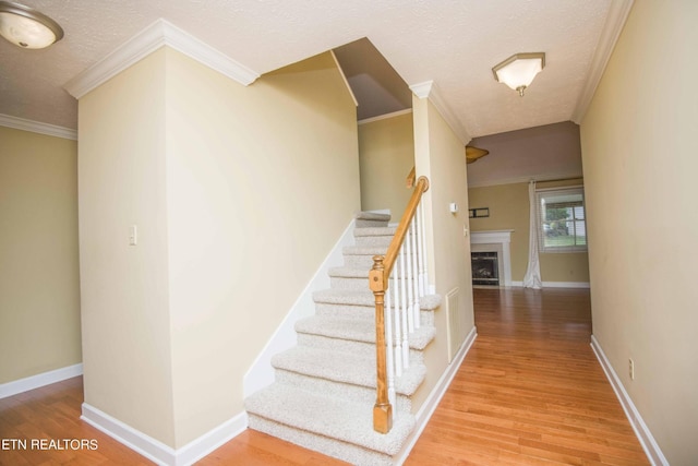 1006 Middleton Pl, Knoxville, TN 37923 - photo 5