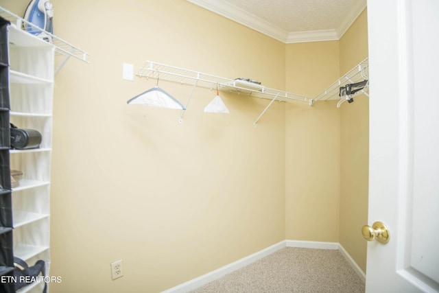 1006 Middleton Pl, Knoxville, TN 37923 - photo 24