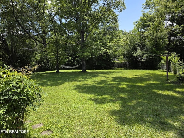 103 S Purdue Ave, Oak Ridge, TN 37830 - view of yard