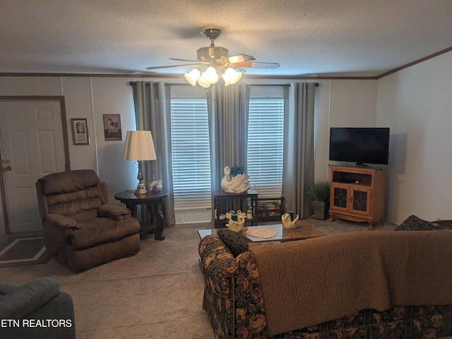 805 N Front St, Rockwood, TN 37854 - living room featuring crown molding, a ceiling fan, a textured ceiling, and carpet floors