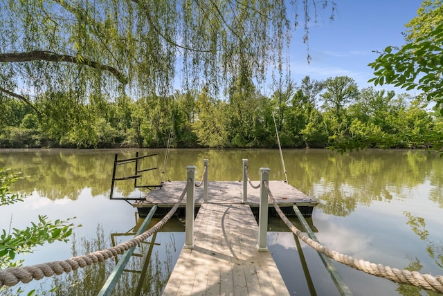 5959 River Trce, Nashville, TN 37218 - dock area with a water view