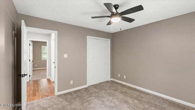 309 Kimberlin Heights Rd, Knoxville, TN 37920 - photo 31