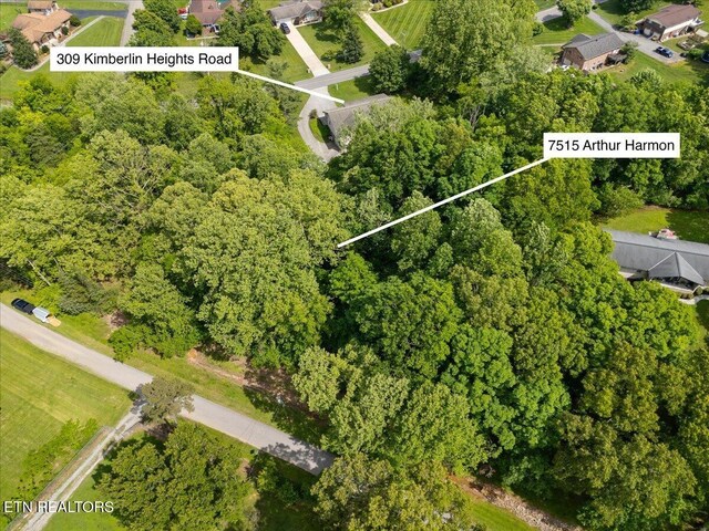 309 Kimberlin Heights Rd, Knoxville, TN 37920 - photo 59