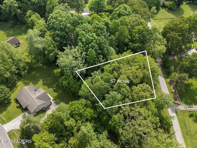 309 Kimberlin Heights Rd, Knoxville, TN 37920 - photo 57