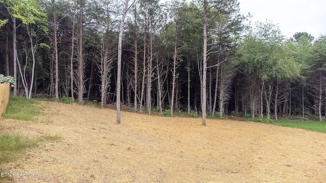 8888 Shaw Ferry Rd, Lenoir City, TN 37772 - view of local wilderness