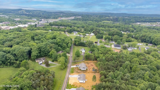 8888 Shaw Ferry Rd, Lenoir City, TN 37772 - bird's eye view of a forest and a mountain backdrop