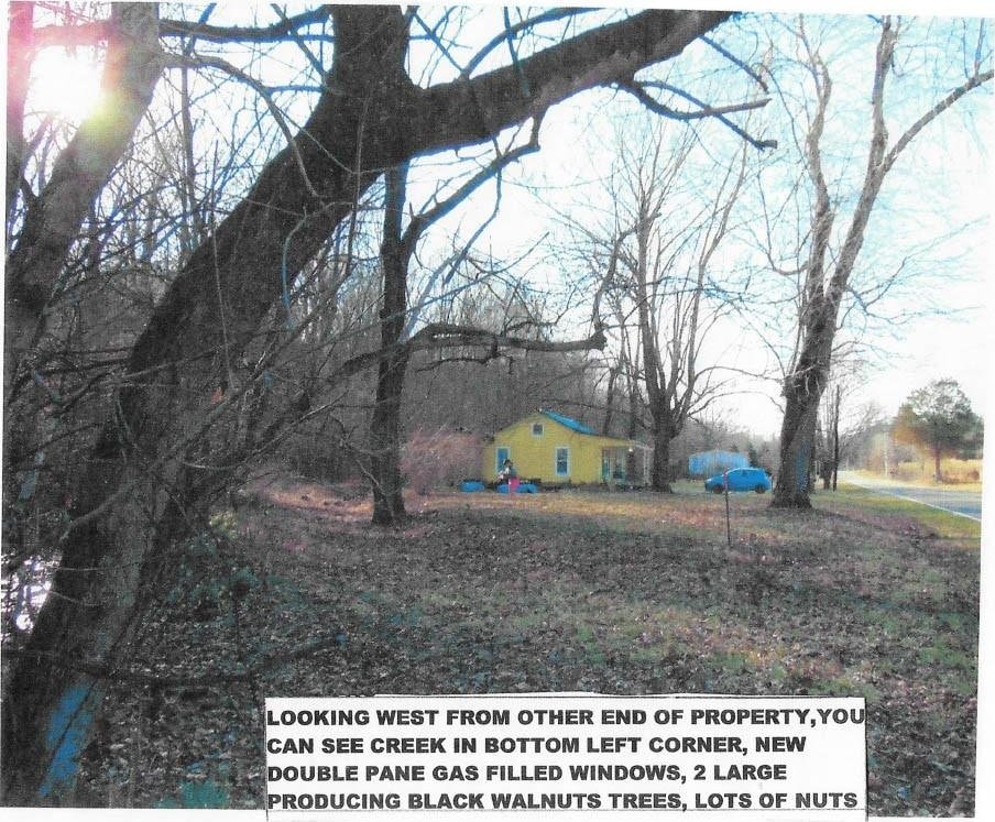 1260 Indian Mound Rd, Indian Mound, TN 37079 - view of yard