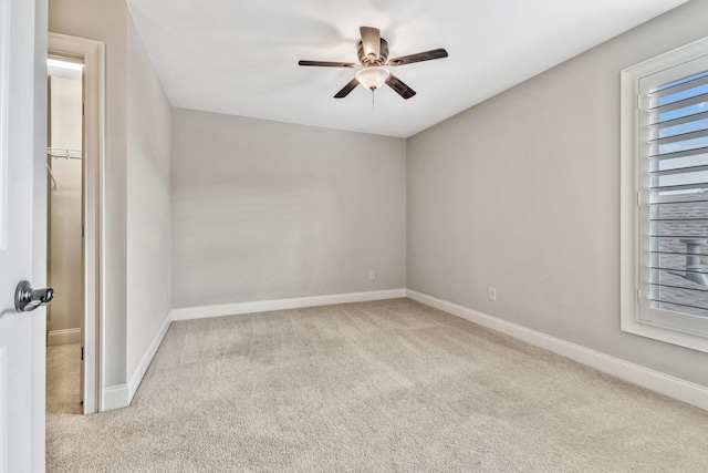 905 Jewell Ave, Franklin, TN 37064 - photo 22