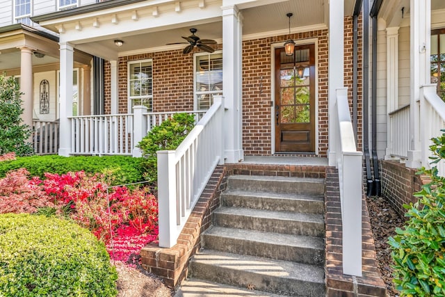 905 Jewell Ave, Franklin, TN 37064 - photo 4