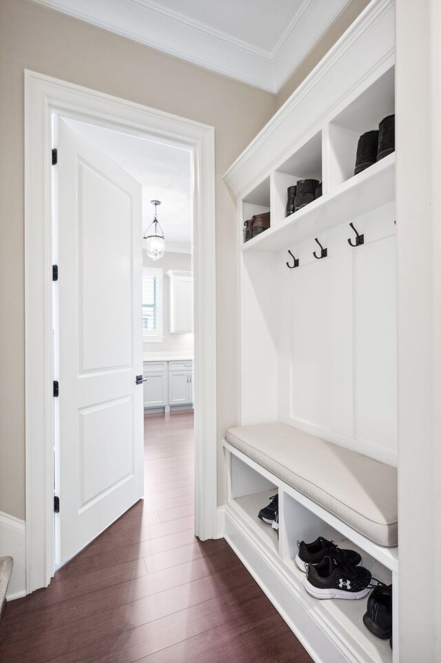 mudroom with crown molding and dark wood-style floors