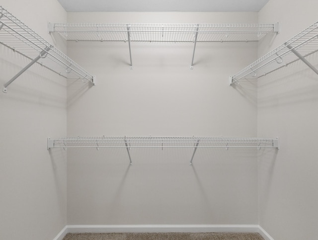 spacious closet with carpet