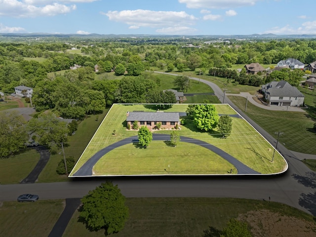 bird's eye view