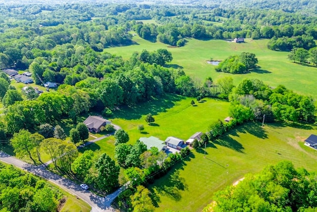drone / aerial view
