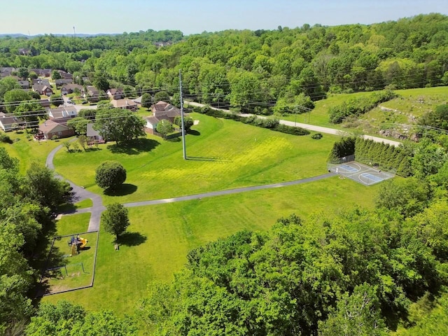 aerial view