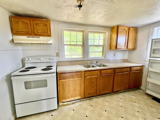 1918 Williams Ave, Jefferson City, TN 37760 - photo 16